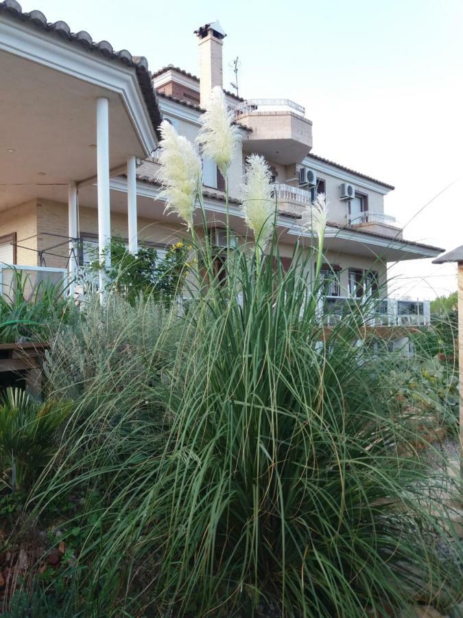 Villa Los Angeles Piscine Privee Pour 20 Personnes Sant Mateu Exterior photo